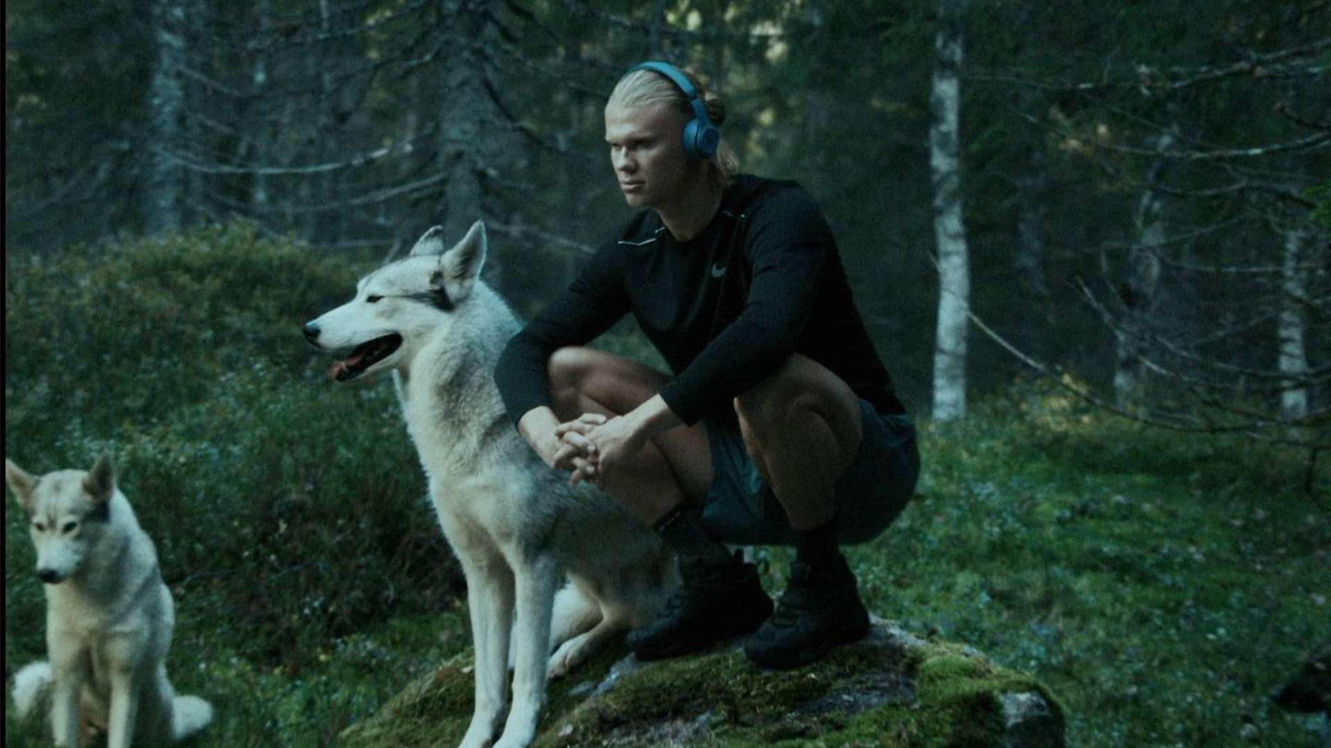 看到了他在 看到了他在